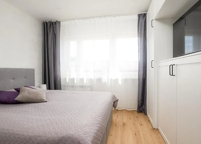 Mainiidu Apartament *